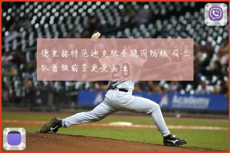 德里赫特范迪克联手稳固防线 荷兰队晋级前景更受关注