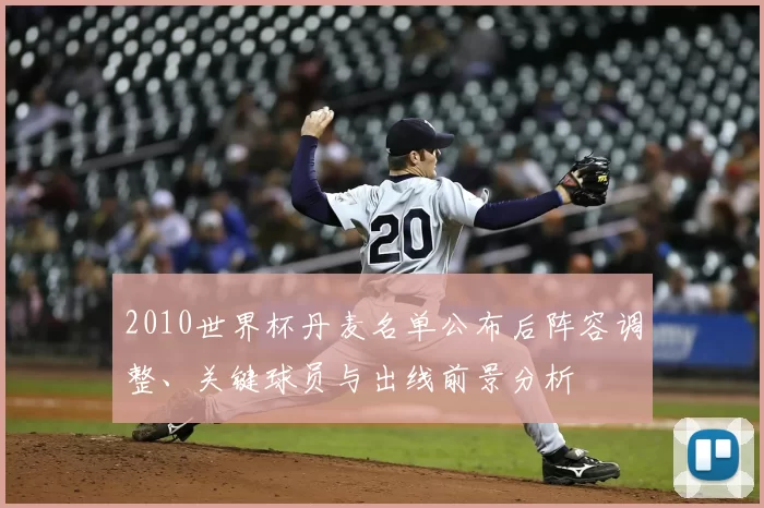 2010世界杯丹麦名单公布后阵容调整、关键球员与出线前景分析