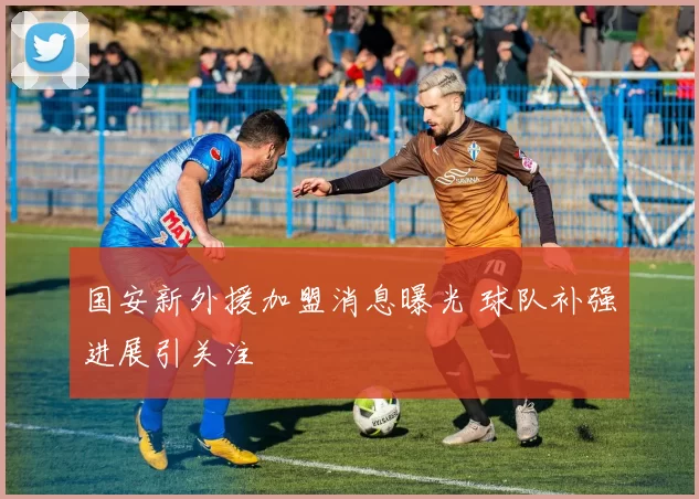 国安新外援加盟消息曝光 球队补强进展引关注