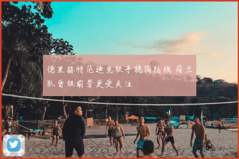 德里赫特范迪克联手稳固防线 荷兰队晋级前景更受关注